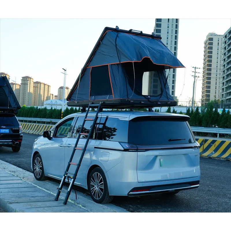 Tenda da Tetto per Auto per 2  - Roof Top Tent Hard Shell 2 Person recensione e prezzo