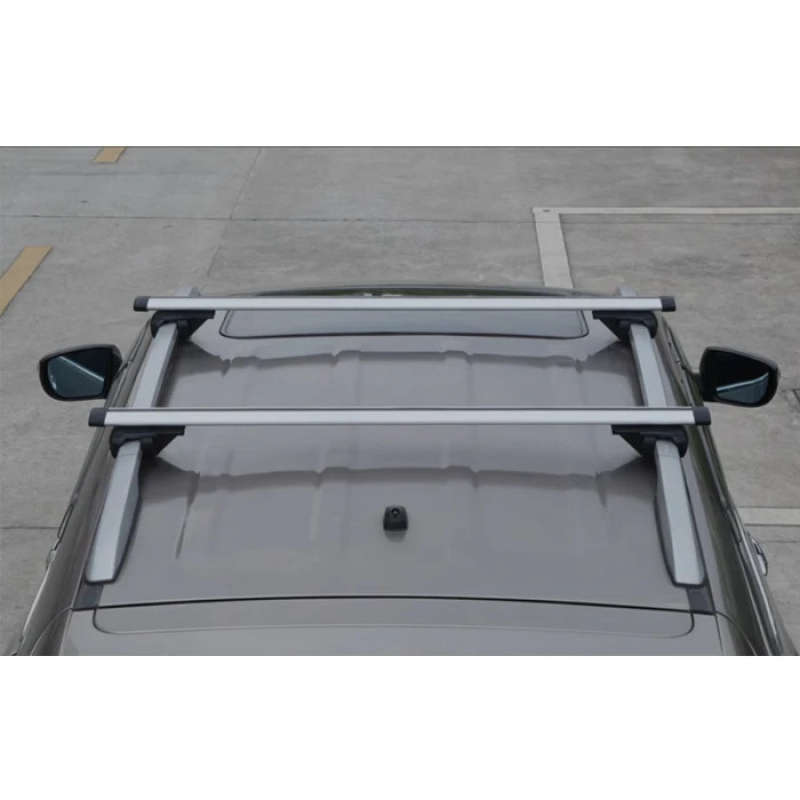 Barre Portatutto in Alluminio  - Roof Rack Crossbar Aluminum recensione e prezzo
